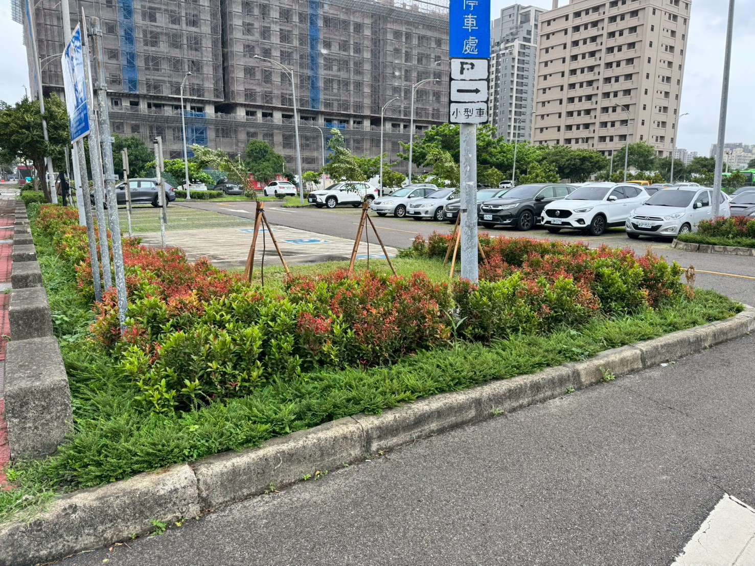 停車場變身城市小綠洲 中市交通局11處場域獲綠美化評核肯定