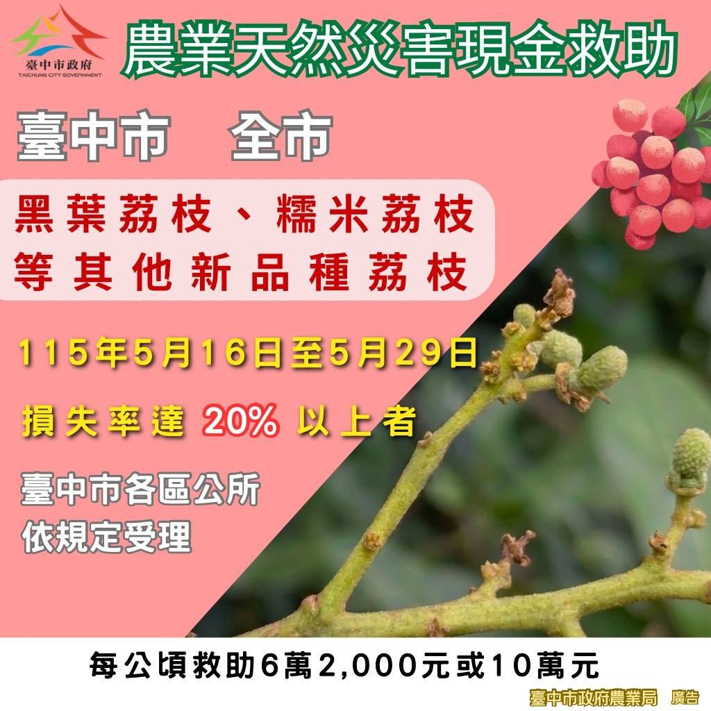 中市荔枝災損 5/29前可申請現金救助